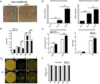 DNA Synthesis Is Activated in Mosquitoes and Human Monocytes During the Induction of Innate <mark class="highlighted">Immune Memory</mark>